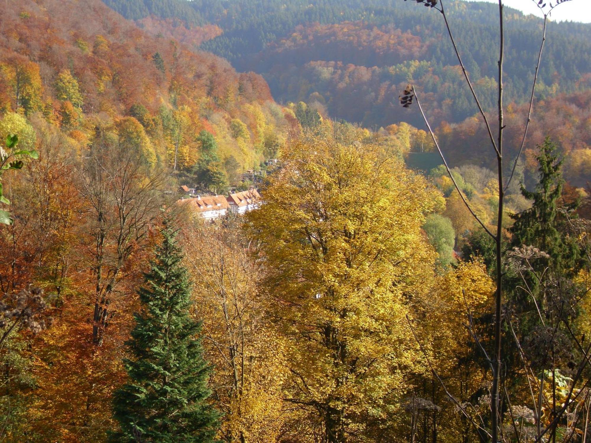 Naturkost-Hotel Harz Bad Grund Exterior foto